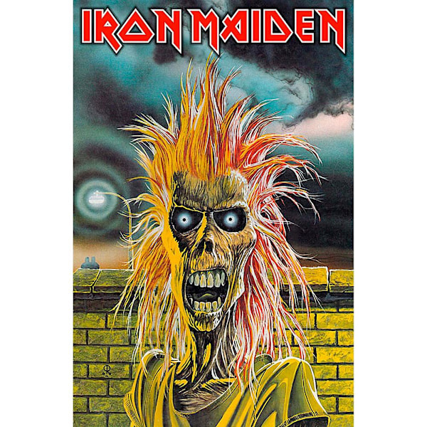 Posterflagga - Iron Maiden - Iron Maiden multifärg