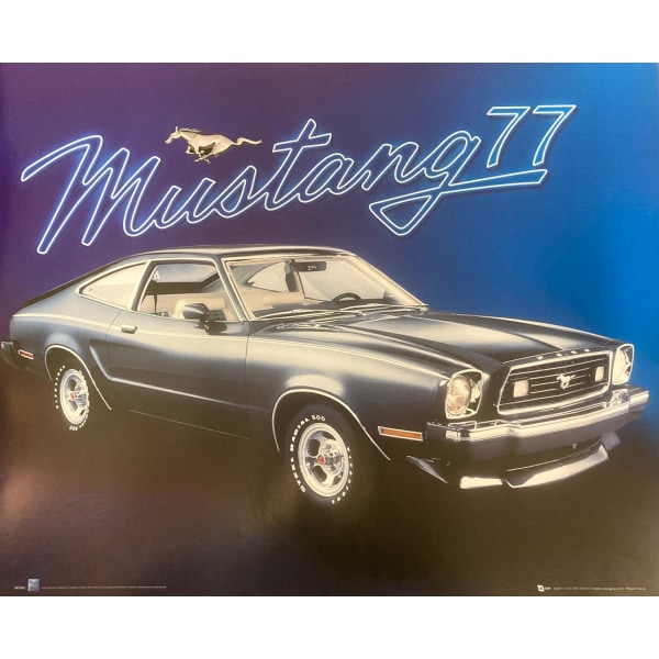 Mustang 77 Multicolor
