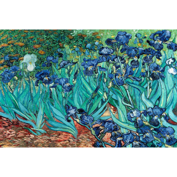 Van Gogh (Les Irises) Multicolor