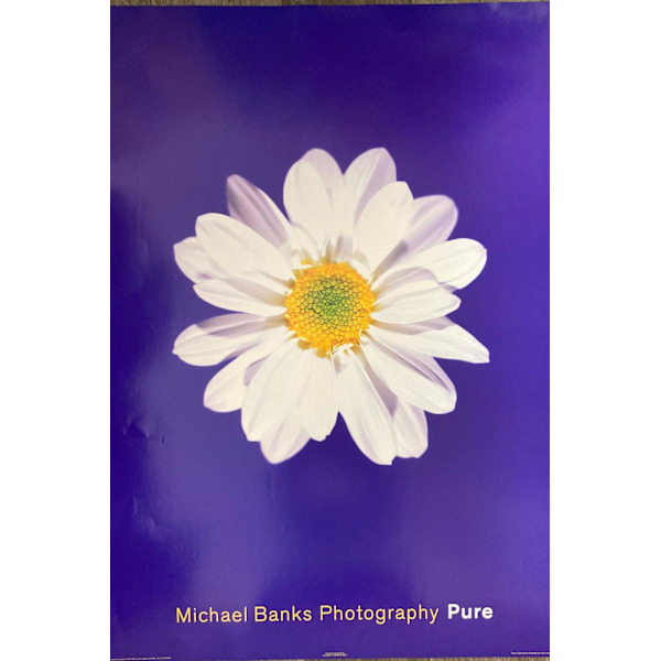 Pure - Michael Banks Blomma multifärg