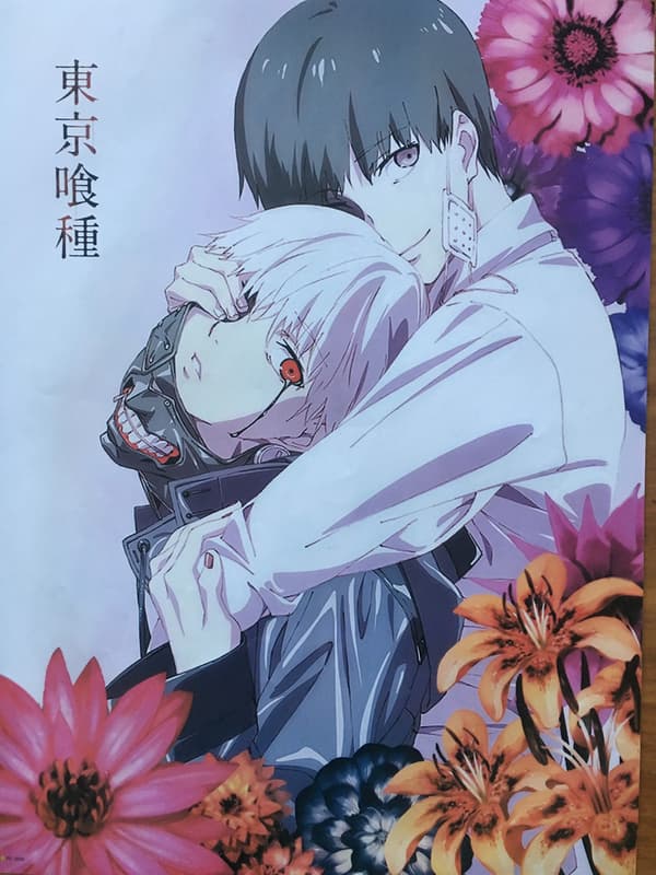 Manga - Tokyo Ghoul 5 multifärg