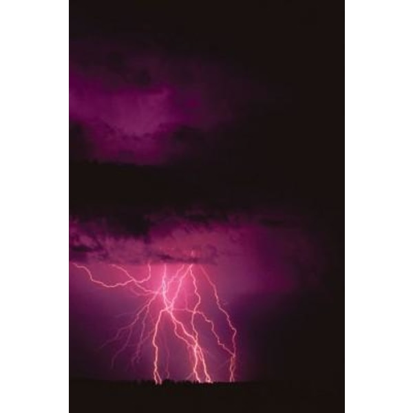 Midnight Lightning - Midnatts Blixt multifärg