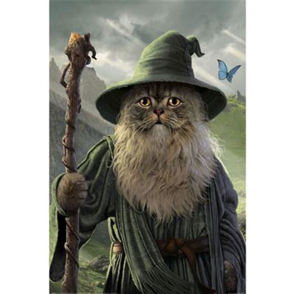 CATDALF - Lord of the rings Multicolor