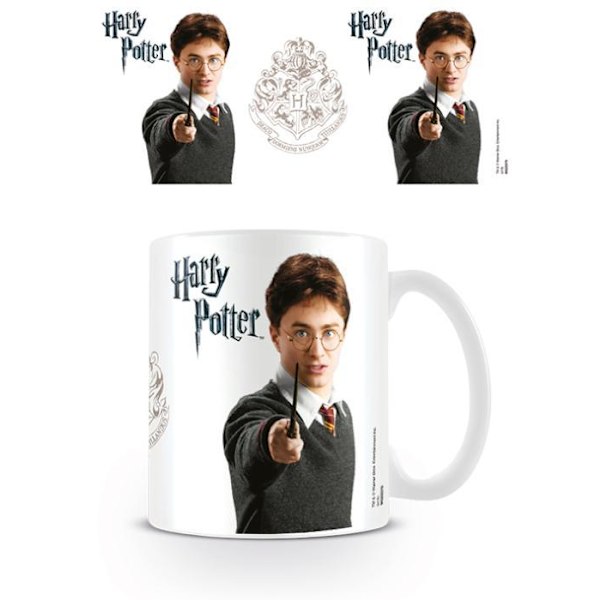 Harry Potter (Harry) - Mugg Multicolor