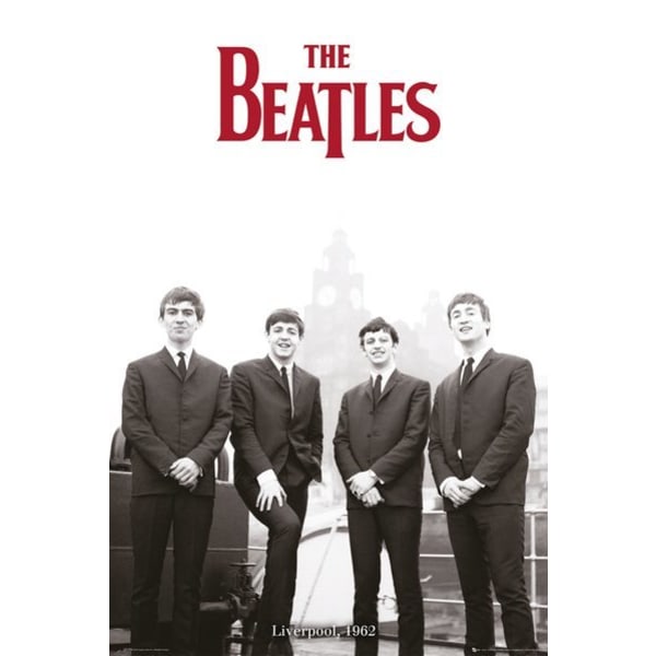 The Beatles - Liverpool 1962 multifärg