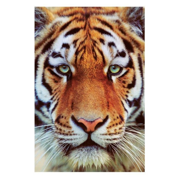 Tiger face Multicolor