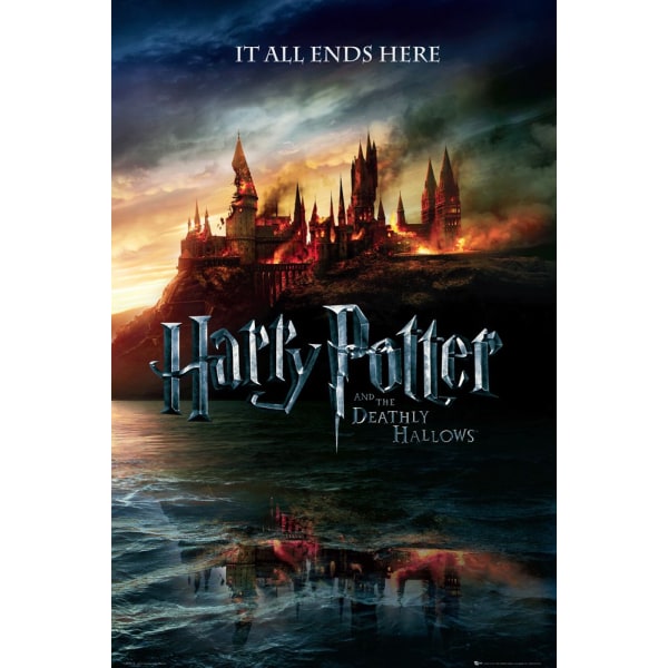 Harry Potter - It all Ends Here Multicolor