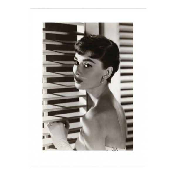 Audrey Hepburn - Persienner Multicolor