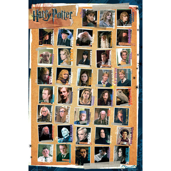 Harry Potter 7 - Characters Multicolor