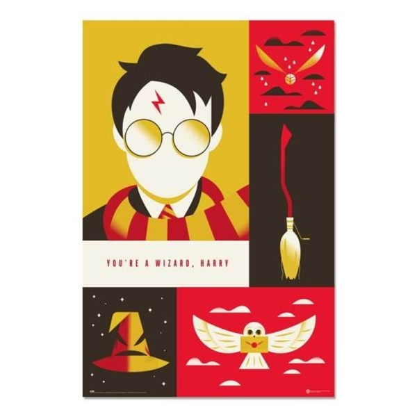 HARRY POTTER - 100 YEARS WB Multicolor