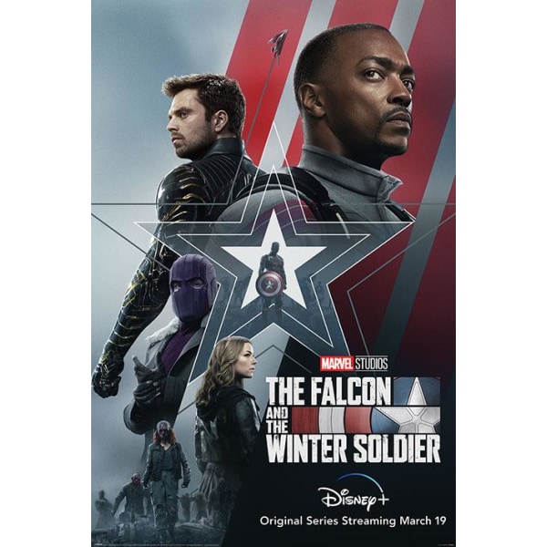 The Falcon and the Winter Soldier (Stars and Stripes) multifärg