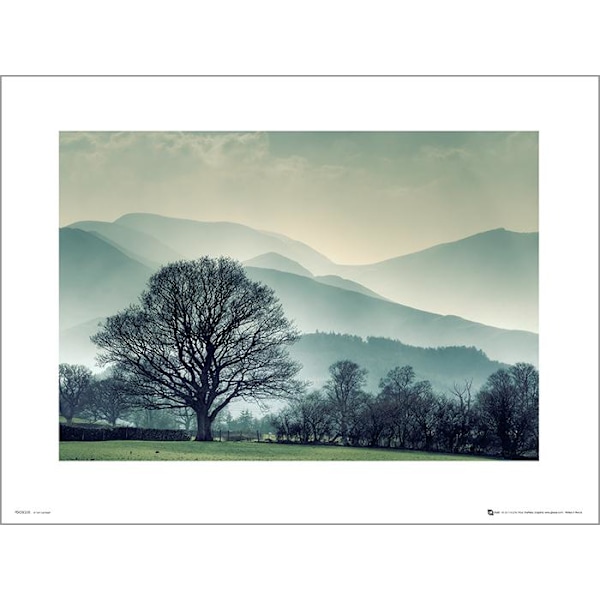 Exklusivt Art Print - Winter Tree Landscape multifärg