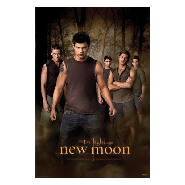Twilight New Moon - Jacob Multicolor