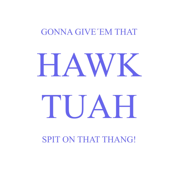 A3 Print - HAWK TUAH - SPIT ON THAT THANG - Blå text multifärg