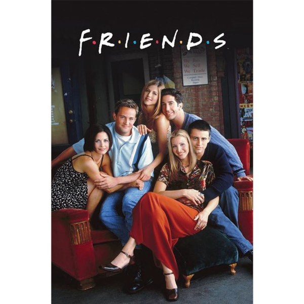 Poster - FRIENDS IN CENTRAL PERK Multicolor