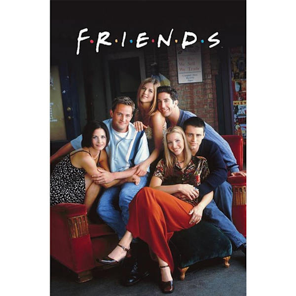 Poster - FRIENDS IN CENTRAL PERK multifärg
