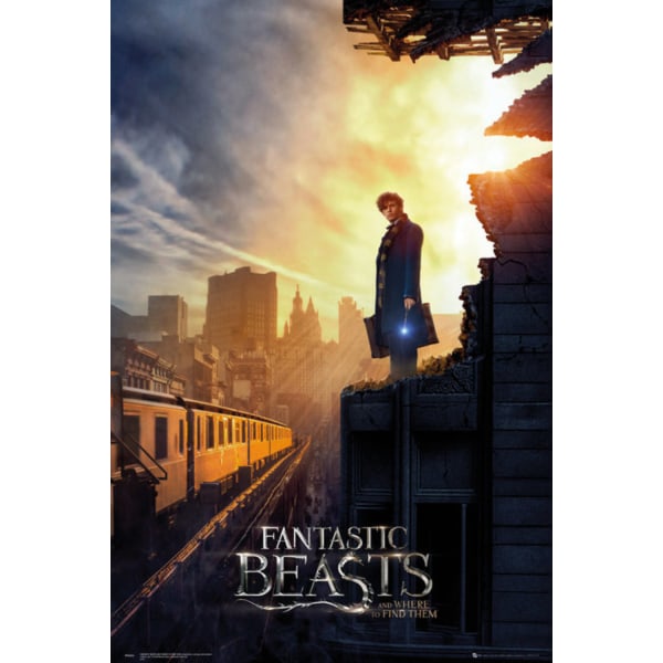 Fantastic Beasts - New Yorkin kadut Multicolor