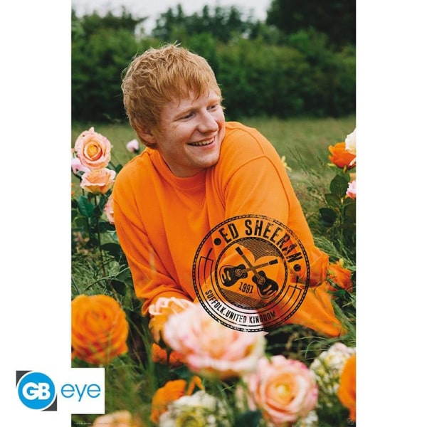 ED SHEERAN - Rose Field Multicolor