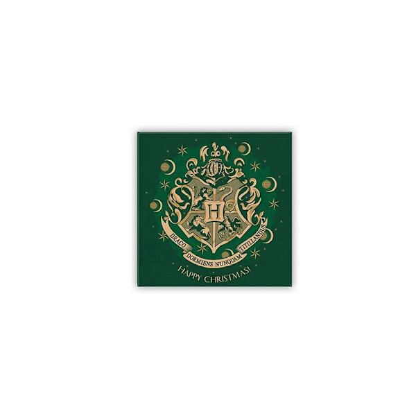 Harry Potter - Magnet 8x8cm - X-MAS - Hogwarts Green multifärg
