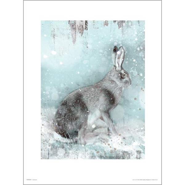 Exklusivt Art Print - Hare in Winter - Hare i vinterlandskap multifärg