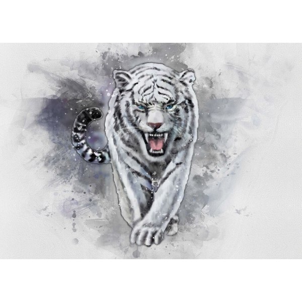 A3 Print - White Tiger - Vit tiger Multicolor
