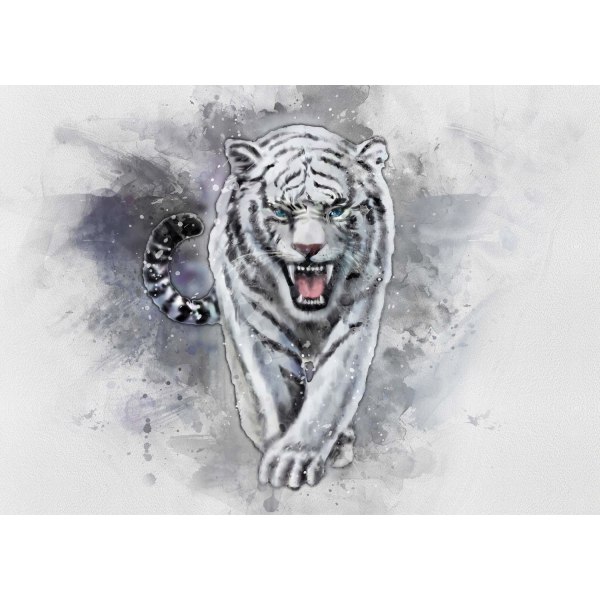 A3 Print - White Tiger - Vit tiger multifärg