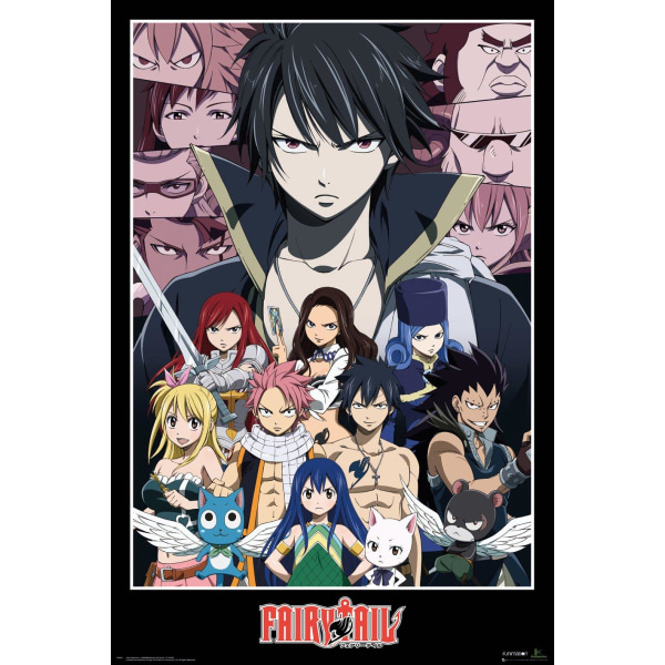 Fairy Tail - Group Multicolor