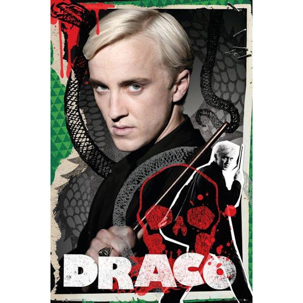 HARRY POTTER - Draco multifärg