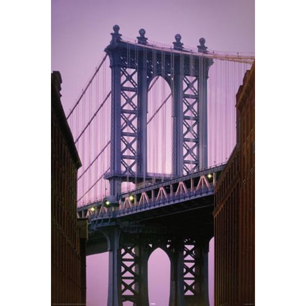New York - Manhattan Bridge multifärg