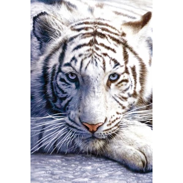 David Penfound Art - White Tiger multifärg