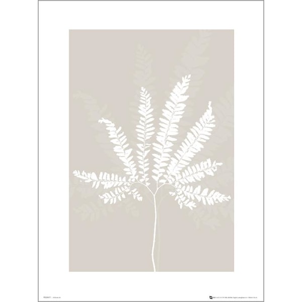 Exklusivt Art Print - Pressed leaf cream - Pressat blad, beige Multicolor