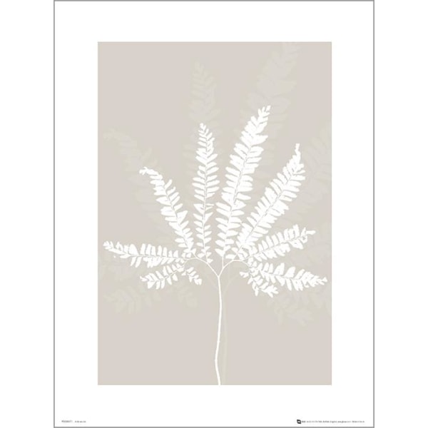 Exklusivt Art Print - Pressed leaf cream - Pressat blad, beige multifärg