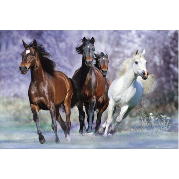 Bob Langrish - Running horses Multicolor