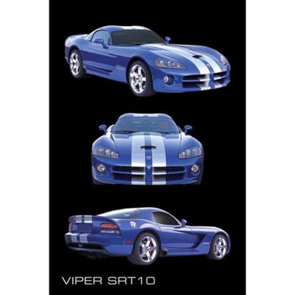 Dodge Viper SRT10 Multicolor