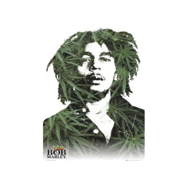 Bob Marley - Leaves multifärg