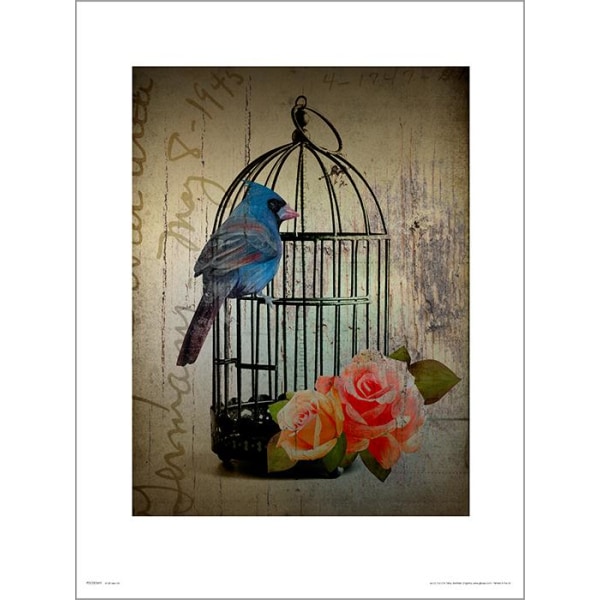 Exklusivt Art Print - Birdcage Vintage - Fågelbur multifärg