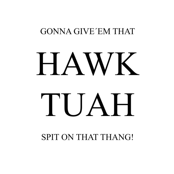 A3 Print - HAWK TUAH - SPIT ON THAT THANG - Svart text Multicolor