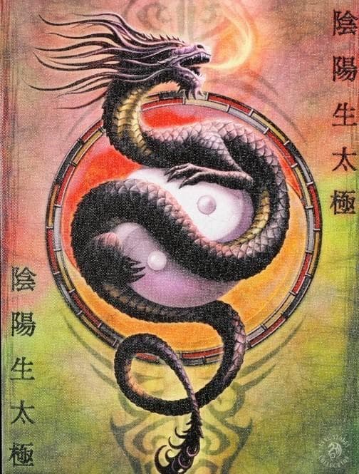 Anne Stokes - Dragon Baby multifärg
