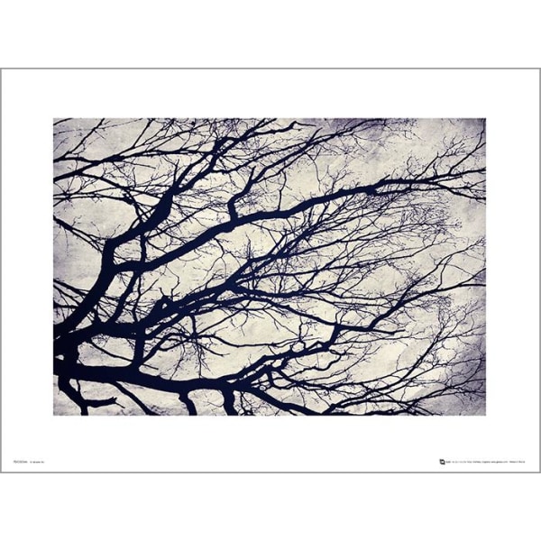 Exklusivt Art Print - Tree branches - Stilistisk träd Multicolor