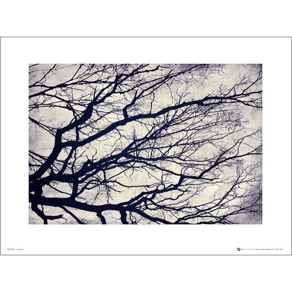Exklusivt Art Print - Tree branches - Stilistisk träd multifärg