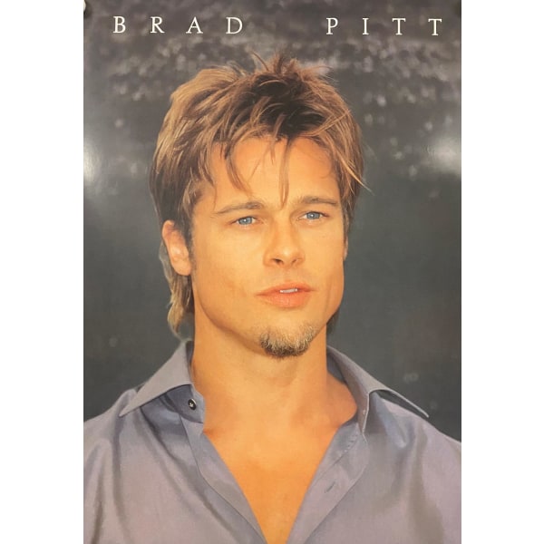 Brad Pitt - Grey shirt multifärg