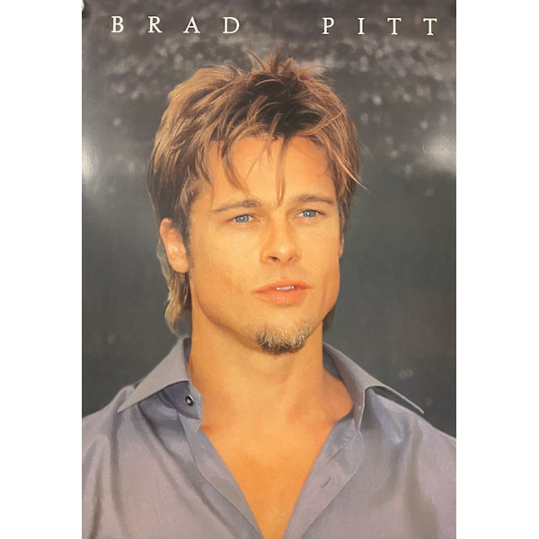 Brad Pitt - Grey shirt multifärg