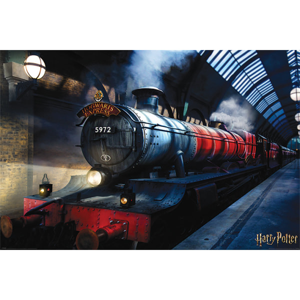 Harry Potter - Hogwarts Express multifärg