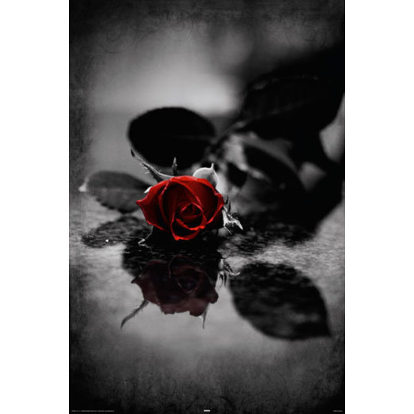 Red Gothic Rose Multicolor
