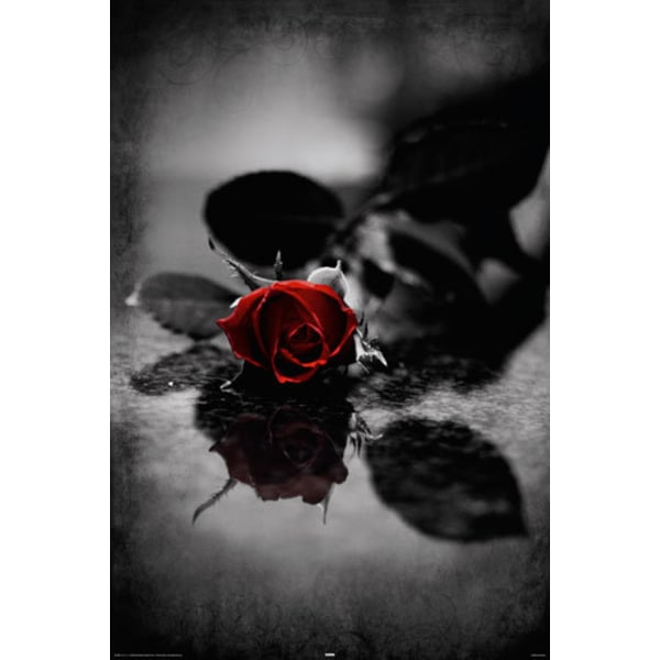Red Gothic Rose multifärg