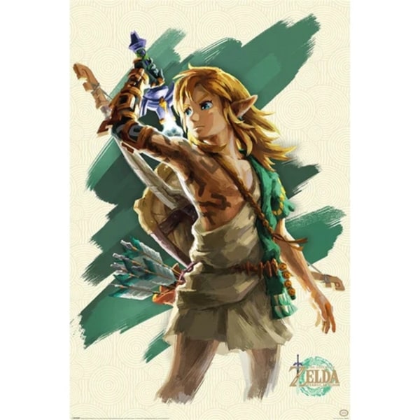 The Legend Of Zelda - Tears Of The Kingdom (Link Unleashed) multifärg
