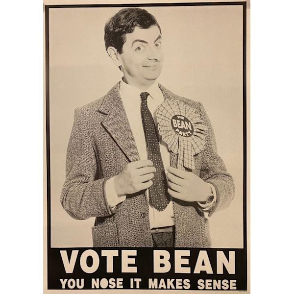 Vote Bean multifärg