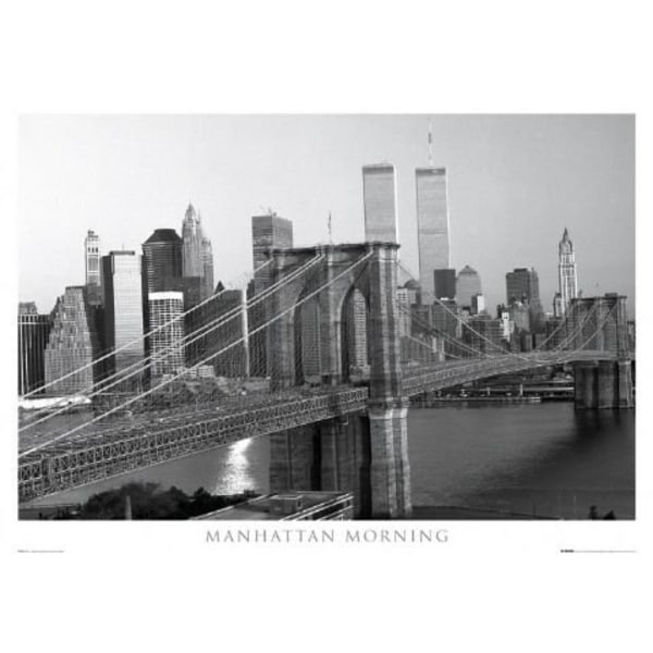 New York - Manhattan Morning multifärg