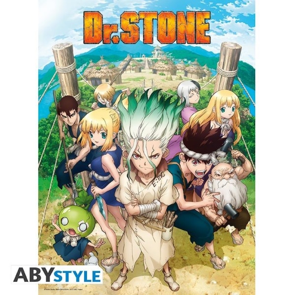 DR STONE - Poster "Group" Multicolor