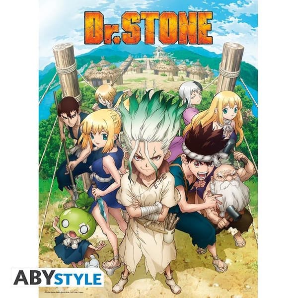 DR STONE - Poster "Group" multifärg